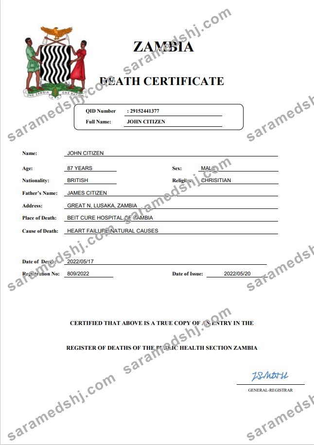 Zambia vital record death certificate Word and PDF template